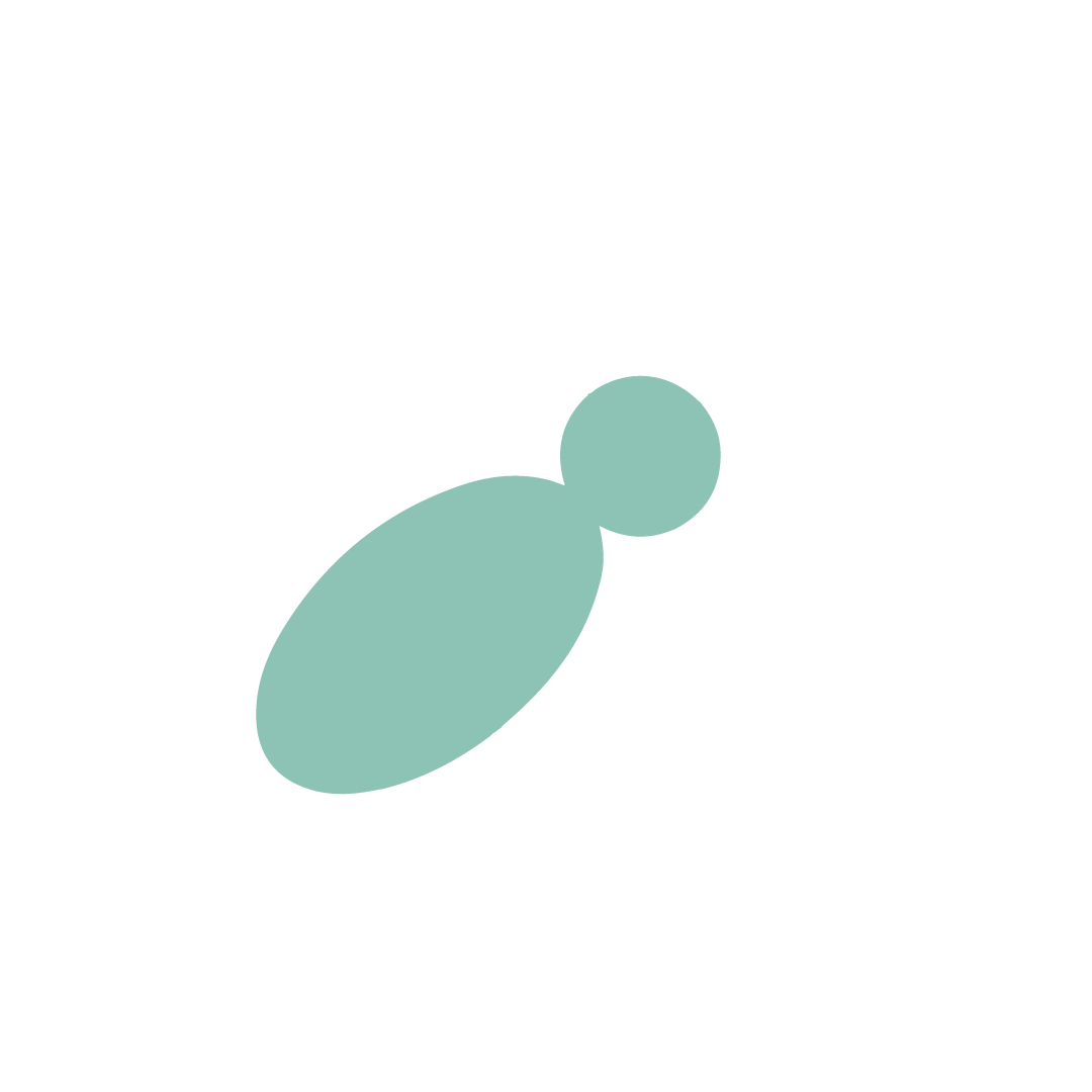 logo-pie-de-pagina